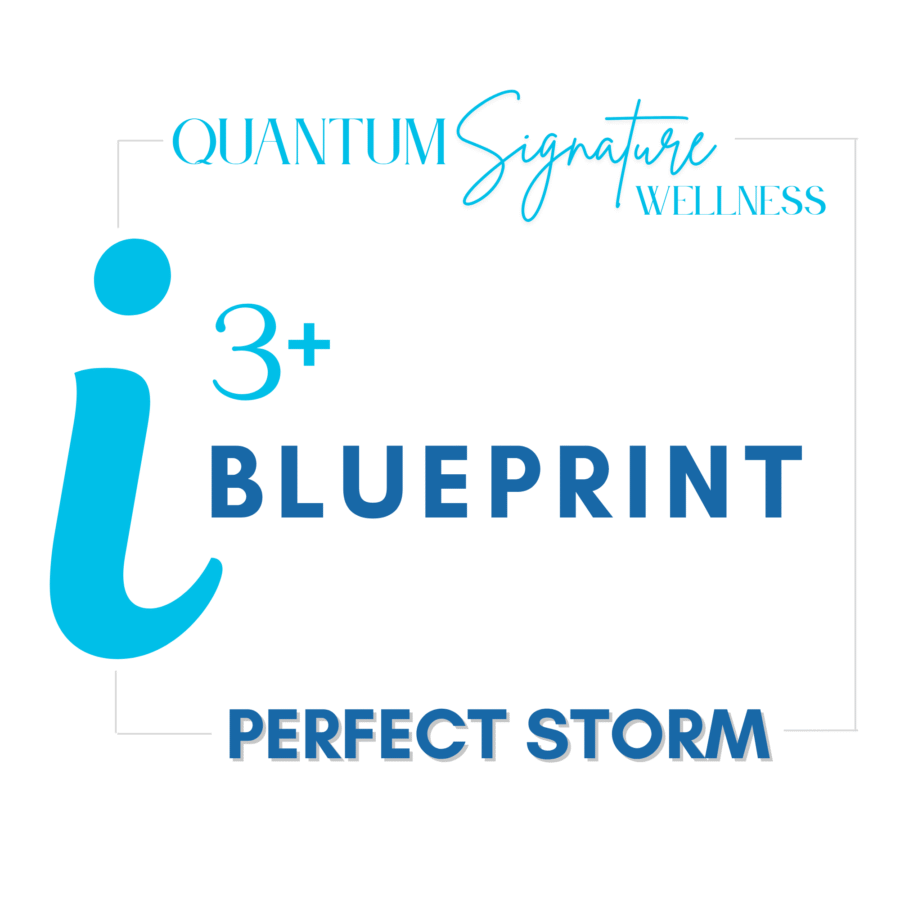 SHOP 2000x2000 i3+ BP SHOP 2000x2000 i3+ BP