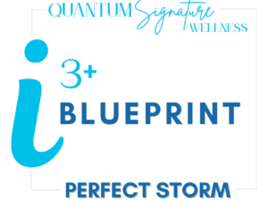 i3+ BLUEPRINT Bootcamp -- The Perfect Storm